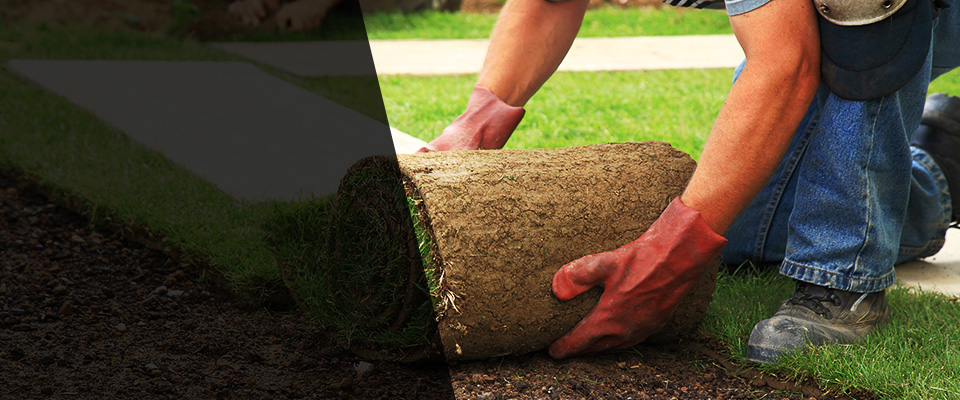 Harwood Landscapers
